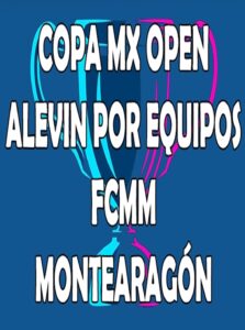 Copa Open Motocross Alevín 65cc (por equipos)