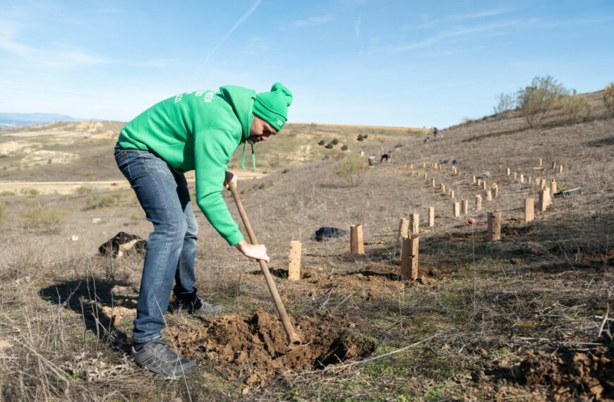 200 árboles plantados en la primera repoblación conjunta de la RFME y AMV