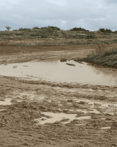 Suspendido el MX de Santa Ana de Pusa