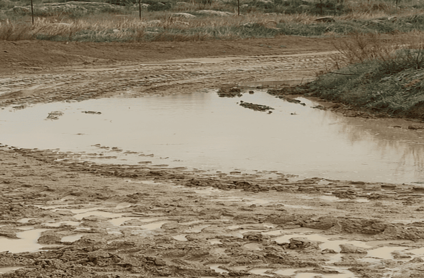 Suspendido el MX de Santa Ana de Pusa